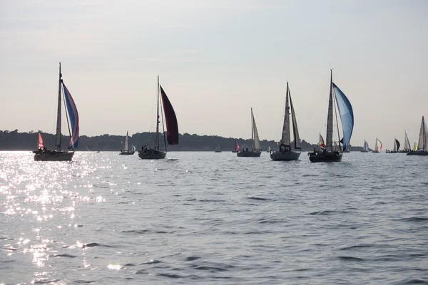 Sailboats sailing on a calm sea — Stock Photo, Image