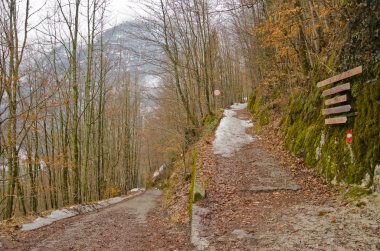 Hallstatt, Avusturya