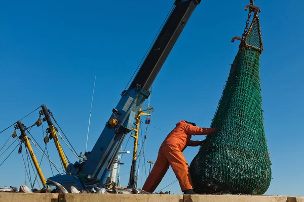 船からの荷を下す魚 — ストック写真