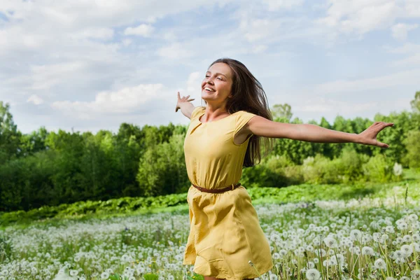 Girl in a meadow Stock Image