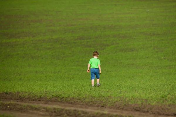 Child alone in a field — Stock Photo, Image
