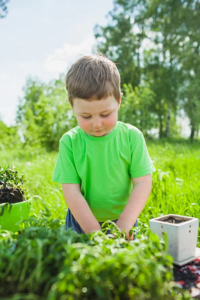 Jongen romping in het gras — Stockfoto