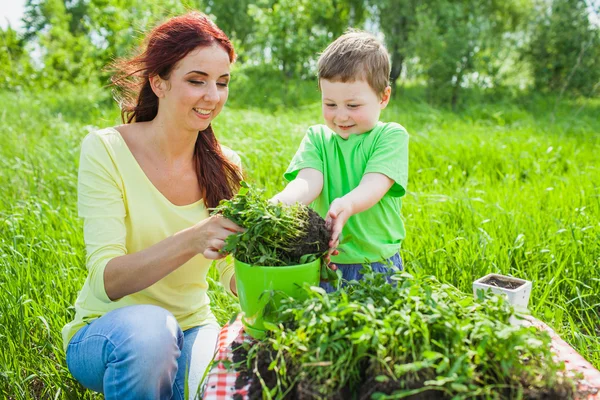 Moeder en zoon over de aard — Stockfoto