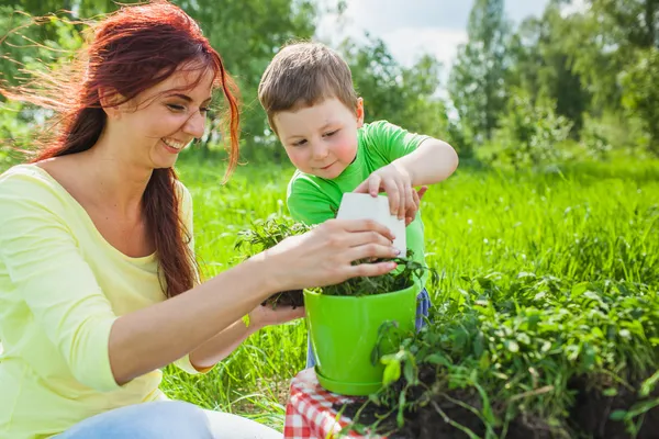 Moeder en zoon over de aard — Stockfoto