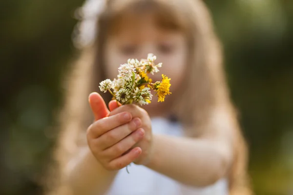 Girl with sunflower in summer field — Stock Photo, Image