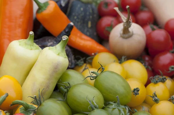 Vegetable — Stock Photo, Image