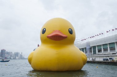 lastik ördek hong Kong