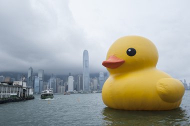 lastik ördek hong Kong