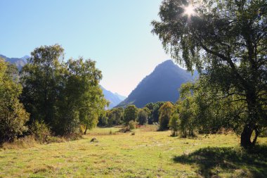 Kuzey Kafkasya dağlarında temizleyerek orman