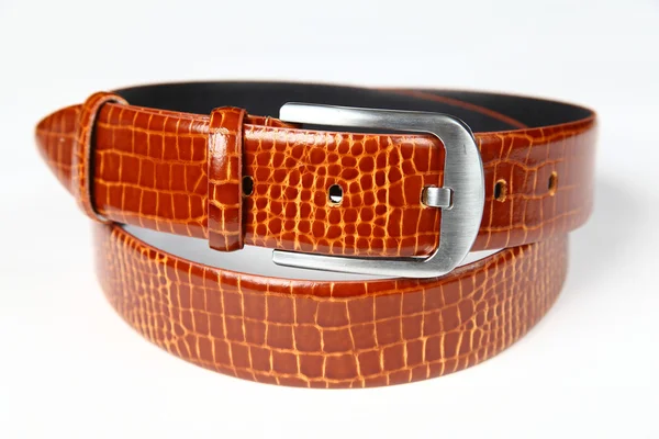 Brown crocodile strap — Stock Photo, Image