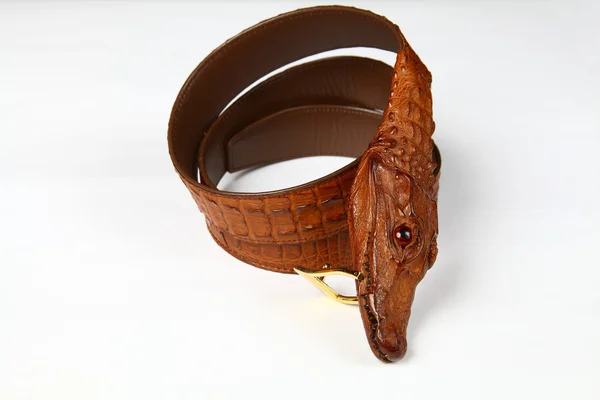 Alligator strap — Stock Photo, Image