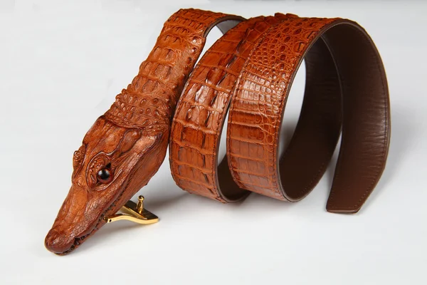 Male alligator strap-2 — Stock Photo, Image