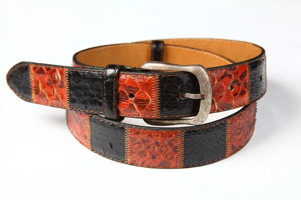 Genuine leather strap python — Stock Photo, Image