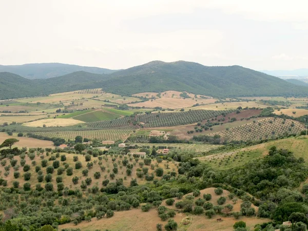 Kırsal toscana, capalbio yakınlarında — Stok fotoğraf
