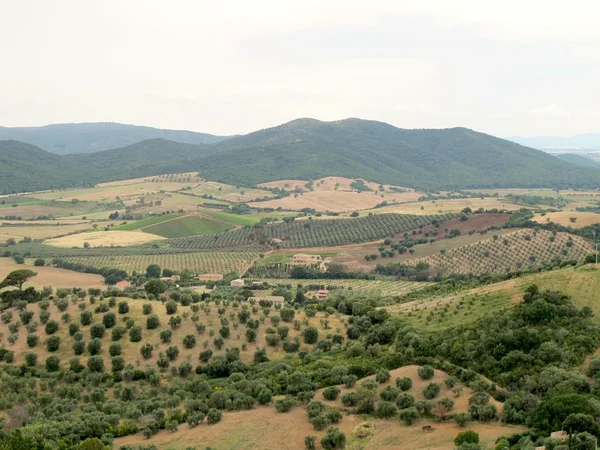 Campagna vicino Capalbio in Toscana — Foto Stock