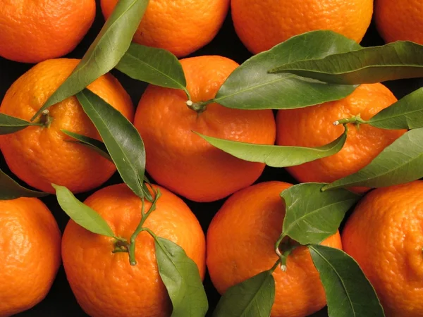 Tangerines — Stock Photo, Image