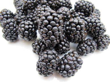 Beyaz arkaplanda böğürtlen