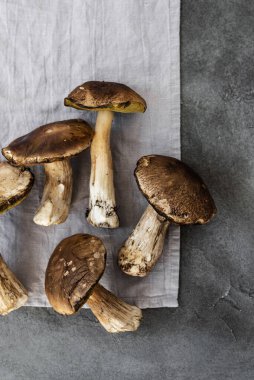 Porcini. Beton zeminde büyük mantarlar. Beyaz mantarlar kapanıyor. Üst görünüm