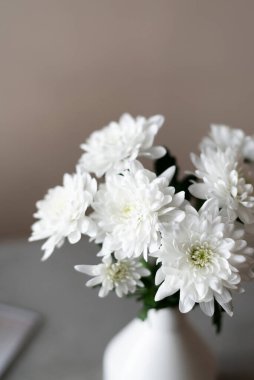 İçi bej olan bir vazoda beyaz kasımpatılar. Seçici yumuşak odaklanma. Minimalist natürmort. Işık ve gölgenin etkileşimi