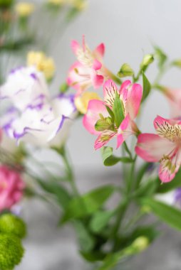 Fotokopi alanı ile gri arkaplan üzerinde renkli çiçek kompozisyonu. Dekorasyon için taze kesilmiş çiçekler. Ev için vazoda çiçek aranjmanı. Kadınlar Günü ve bahar zamanı çiçek arkaplanı