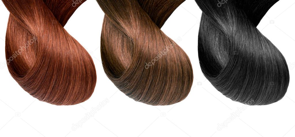 Hair natural color palette , Different colours isolated on white background , beauty