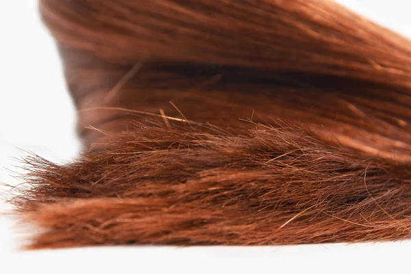Brown Red Texture Hair Natural Isolated White Background Beauty — 스톡 사진