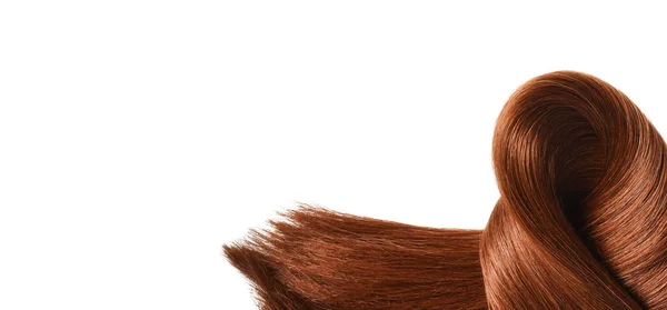 Brown Red Hair Natural Isolated White Background Beauty — Φωτογραφία Αρχείου