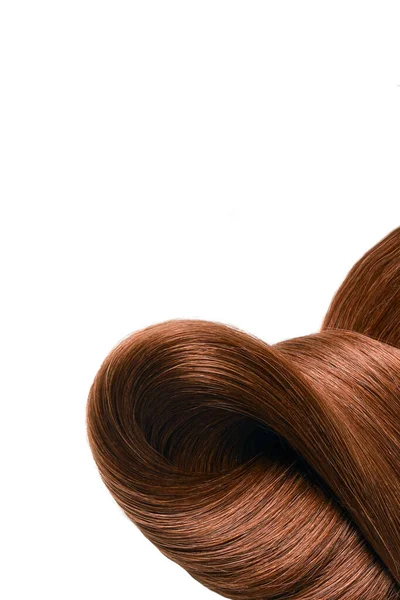 Brown Hair Natural Isolated White Background Beauty — kuvapankkivalokuva