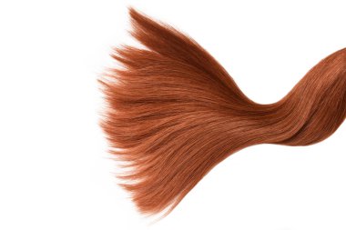 Brown red hair natural , isolated on white background , beauty