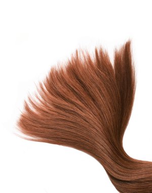 Brown red hair natural , isolated on white background , beauty