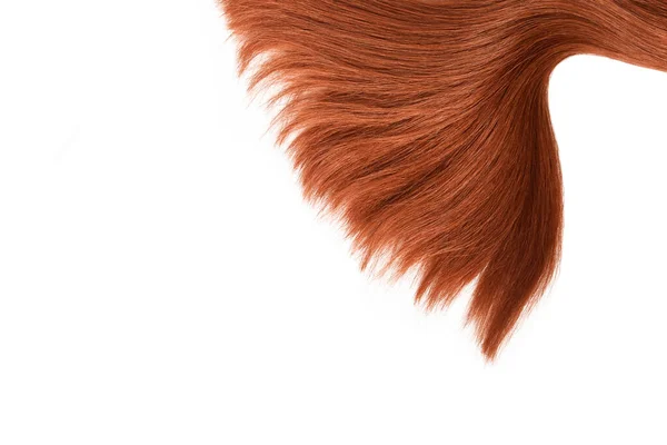 Brown Red Hair Natural Isolated White Background Beauty — Φωτογραφία Αρχείου