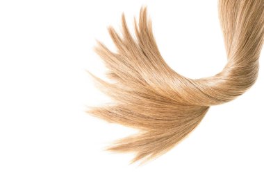 Blond yellow hair natural , isolated on white background , beauty