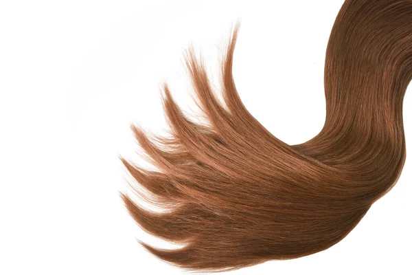 Brown Red Hair Natural Isolated White Background Beauty — kuvapankkivalokuva