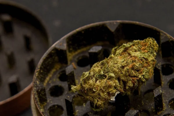 Grinder Cannabis Marijuana Buds — Foto Stock
