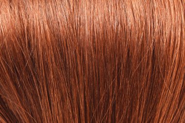 Braided hair texture, tail Brown red hair natural , isolated on white background , beauty