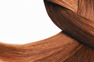 Braided hair, tail Brown hair natural , isolated on white background , beauty
