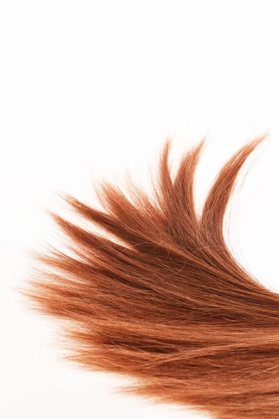 Braided Hair Texture Tail Brown Red Hair Natural Isolated White — Stock Photo, Image