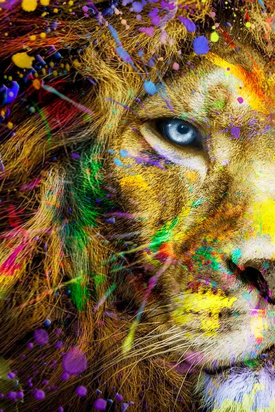Full Colors Lion Wildlife Animal Ink Modern Abstract Art — Stok fotoğraf