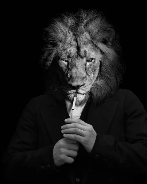 Hombre Forma León León Persona Cara Animal Aislado Blanco Negro —  Fotos de Stock