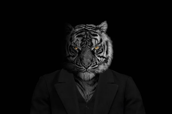Человек Виде Млекопитающего Тигра Тигр Лицо Животного Изолировано Черно Белым — стоковое фото