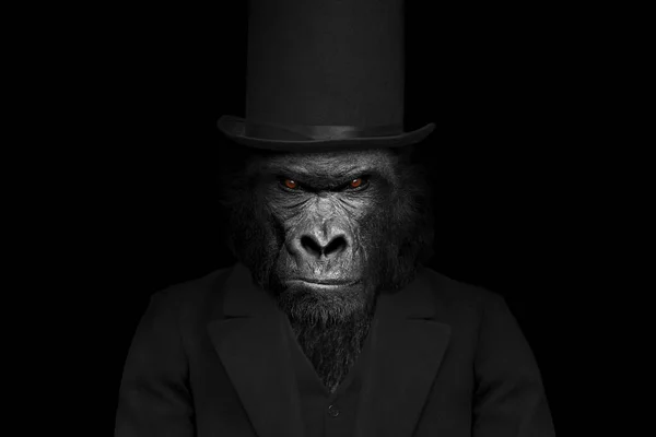 Man Vorm Van Een Gorilla Zoogdier Gorilla Persoon Dier Gezicht — Stockfoto