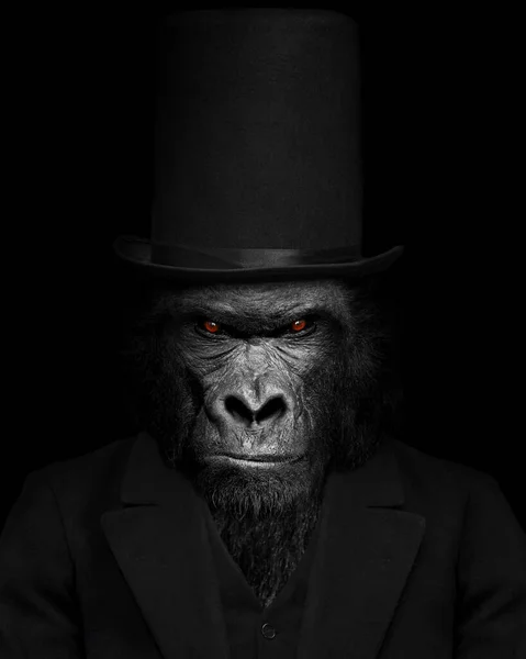Homme Forme Mammifère Gorille Personne Gorille Visage Animal Isolé Noir — Photo
