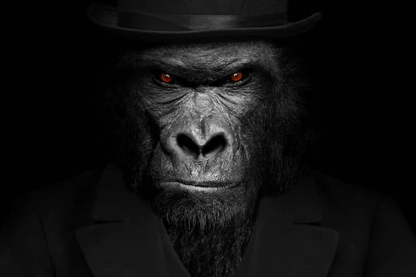 Gorilla Nisäkkään Muotoinen Mies Gorilla Ihminen Eläimen Kasvot Eristetty Musta — kuvapankkivalokuva