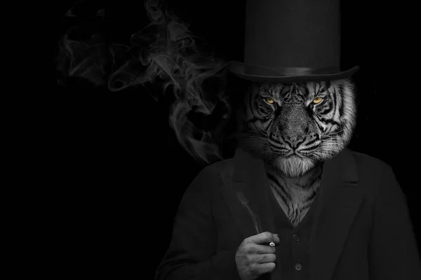 Man Form Tiger Mammal Tiger Person Animal Face Isolated Black — Stock Photo, Image