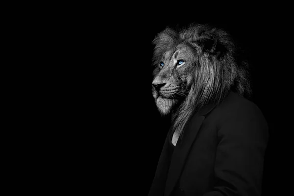 Man Form Ett Lejon Lejonet Person Djur Ansikte Isolerad Svart — Stockfoto