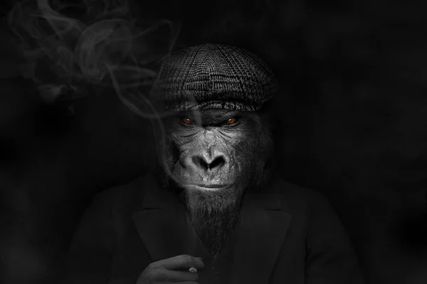 Человек Форме Млекопитающего Гориллы Человек Горилла Лицо Животного Изолировано Черно — стоковое фото