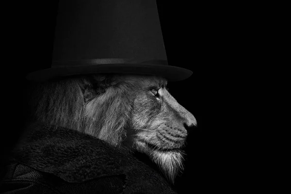 Людина Формі Лева Лева Людина Тварина Обличчя Ізольовано Чорно Білий — стокове фото