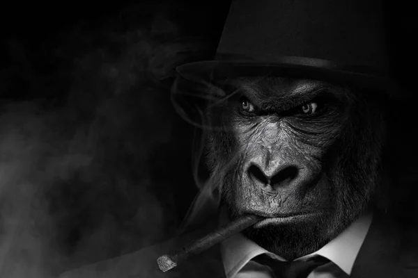 Man Vorm Van Een Gorilla Zoogdier Gorilla Persoon Sigaren Roken — Stockfoto
