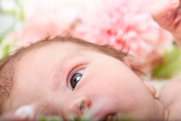 新生児の女の子 美しい花のピンクの中で — ストック写真