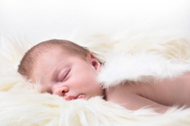 Güzel yeni doğmuş bebek melek kanatlarıyla uyuyor, çocuk izole edilmiş beyaz arka plan